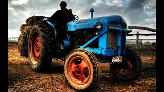 TRAKTÖRLER HASAT YAPIYORford fiat fend deutz case massey ferguson [upl. by Nethsa]