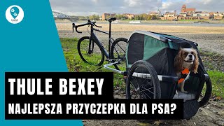 Thule Bexey  najlepsza przyczepka na świecie dla psów [upl. by Kaitlin]