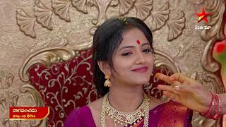 NagaPanchami  Promo  29th Mar 2024  Star Maa Serials  MonSat at 6 pm  Star Maa [upl. by Phaedra]