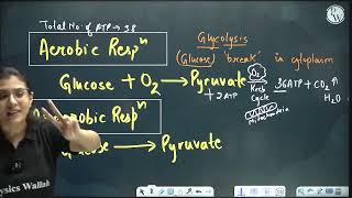 class 9produce plant 🪴 during respiration youtubevideo viralvideo [upl. by Danella14]