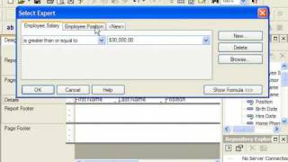 Crystal Reports Tutorial Setting Multiple Filters Business Objects Training Lesson 62 [upl. by Buffy]