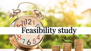 Feasibility study in practice 05  Part Two [upl. by Capriola267]