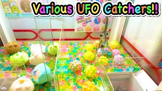 Various Claw Machine in Japan  UFO Catchers Wins Cute Prizes  Game  Anime  Pop It UFOキャッチャー [upl. by Favata]