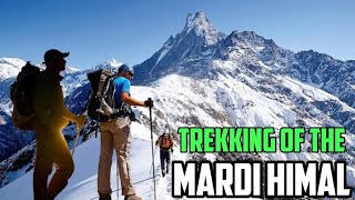 Hiking of the Mardi Himal  Mardi Himal trek  Mardi Himal  Mardi Himal Trekking VLOG [upl. by Ardnohsal]