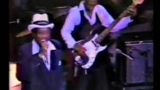 Bobby Blue Bland  Chicago 1981 with Wyne Bennet and Mel Brown [upl. by Gardia]