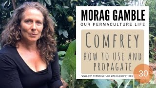 Comfrey how to use harvest and propagate by Morag Gamble [upl. by Gnud953]