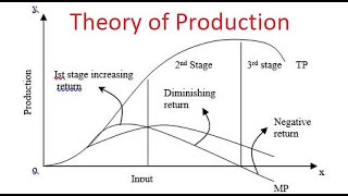 Managerial Economics Chapter3 Theory Of Production [upl. by Iahs]