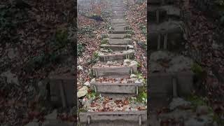 🇨🇭1000erStägli nahe OltenAarburg im Nebel mystische Herbststimmung 1150 Stufen auf den Born [upl. by Julius]