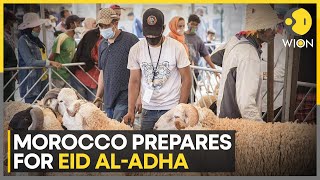 Morocco prepares for Eid alAdha as severe drought hits animal supplies  WION [upl. by Sandi998]