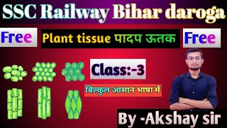 TISSUE What is tissue Types of Plant tissue ऊतक क्या हैं। ऊतक के प्रकार। [upl. by Ettezoj]