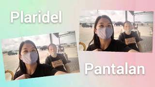 Dipolog Plaridel via Rural BusPlaridel to Larena to Bohol via Lite ShippingRembe Vlog [upl. by Namyl]