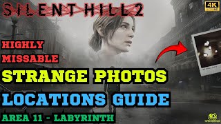 All Strange Photos in Area 11 Labyrinth  Key item for Pieces Unarranged Trophy Guide [upl. by Enia]