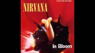 In Bloom by Nirvana Bass Track [upl. by Bergwall]