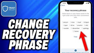 How To Change Trust Wallet Recovery Phrase 2024  Easy Fix [upl. by Keifer]