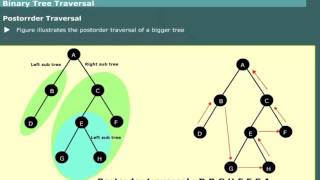 Binary Tree Traversal Preorder Inorder Postorder in Data Structures [upl. by Moulden610]