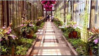 Worlds Most Beautiful Garden Cinematic Video Longwood Gardens [upl. by Etaner]