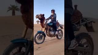 New bike launch yah Kaisi bike hai ki bike 😱😱😱🤔 youtubeshorts funny video followers funnyclips [upl. by Ja]