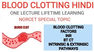 blood clotting  blood clot  clotting of blood  how blood clots  how to reduce blood clotting [upl. by Mcquade]