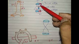 CV A 006 Development of outflow tract of ventricle in development of heart ❤️💖 made easy [upl. by Adnertal]