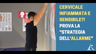 CERVICALE sensibile e quotinfiammataquot Prova la quotSTRATEGIA DELL ALLARMEquot [upl. by Irim584]