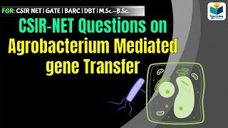 CSIR NET SOLVED QUESTIONS  Agrobacteium mediated gene transfer Part2 [upl. by Regina63]