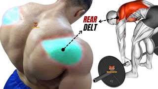 13 BEST REAR DELTOID EXERCISES WITH BARBELL ONLY AT HOME OR AT AT GYM [upl. by Iyre]