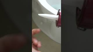 How To Caulk The Bottom Of Your Toilet To STOP Leaks amp Mold shorts [upl. by Duffy]