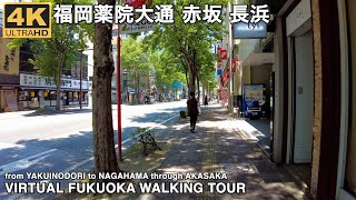 福岡薬院大通から警固、赤坂を通って長浜へ4k virtual Fukuoka walking tour from Yakuinodori to Nagahama through Akasaka [upl. by Ottavia]