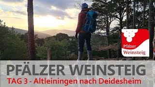 Pfälzerwald  Wandern auf dem Pfälzer Weinsteig Tag 3 Deidesheim Weinbiet Neustadt Weinstraße [upl. by Green]