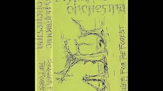 Disharmonic Orchestra  Requiem for the Forest 1988 [upl. by Sinylg]