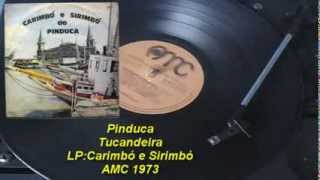 Pinduca  Tucandeira【Carimbó e Sirimbó】1973 [upl. by Jagir]