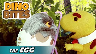 The Egg  Dino Bites  Kids TV Show [upl. by Ettenuj]