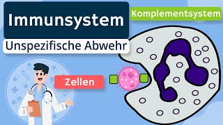 Unspezifische Immunabwehr Zellen Komplementsystem  Immunsystem einfach erklärt [upl. by Analart]