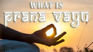 What is Prana Vayu  Pancha Pranas  5 Prana Vayus in Yoga  The 5 Energy Flows in the Body [upl. by Bethel635]