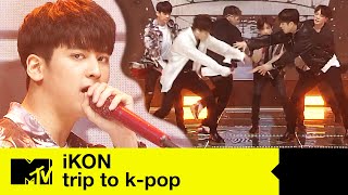 iKON 아이콘  뛰어들게 DIVE Performance  Trip To KPop [upl. by Ardnola]