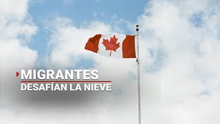 Migrantes mexicanos cruzan ilegalmente a EU ¡Por Canadá [upl. by Gilead843]