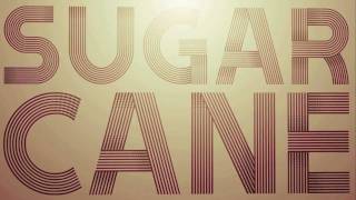 Sugarcane  Shaggy Official Lyric Video [upl. by Glenden721]