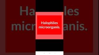 Halophiles microorganism [upl. by Sanchez952]