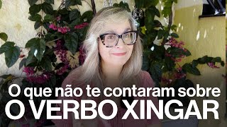 O que não te contaram sobre o verbo xingar [upl. by Corry]