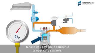 System recyrkulacji spalin EGR  przystępne objaśnienie [upl. by Nylear]