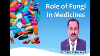 Role of Fungi in medicines EnglishUrduHindi for BS MS students by Dr Zahid Malik [upl. by Tolliver]