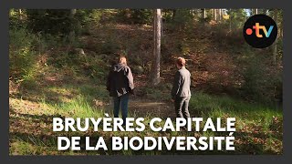 La Communauté de Communes de Bruyères capitale française de la biodiversité [upl. by Tlok]