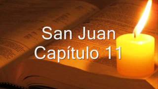 SAN JUAN COMPLETO BIBLIA HABLADA Y DRAMATIZADA NVI [upl. by Drofnats]