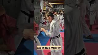 GojuRyu KarateDo SeiwaKai training [upl. by Abagail]