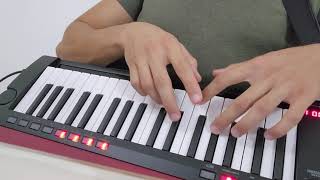 Take a Slice  Keytar Cover [upl. by Cari]