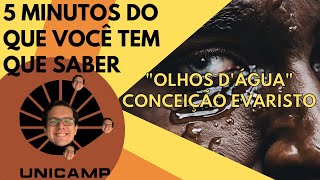 5 minutos do que você tem que saber de quotOlhos dÁguaquot de Conceição Evaristo [upl. by Reeher]