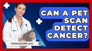 Can a PET Scan Detect Cancer  PetGuide360com [upl. by Ace]