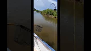 YouTube Vlog Tutorial Travel fishing bonitasprings floridavacations [upl. by Leibman631]