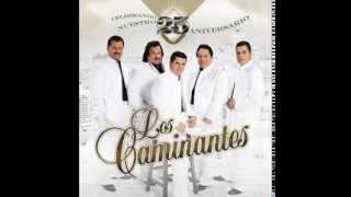 LOS CAMINANTES MIX ROMANTICO SOLO EXITOS low [upl. by Ferde962]