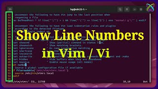 How to Show Line Numbers in VIM or VI Text Editor [upl. by Dowzall704]